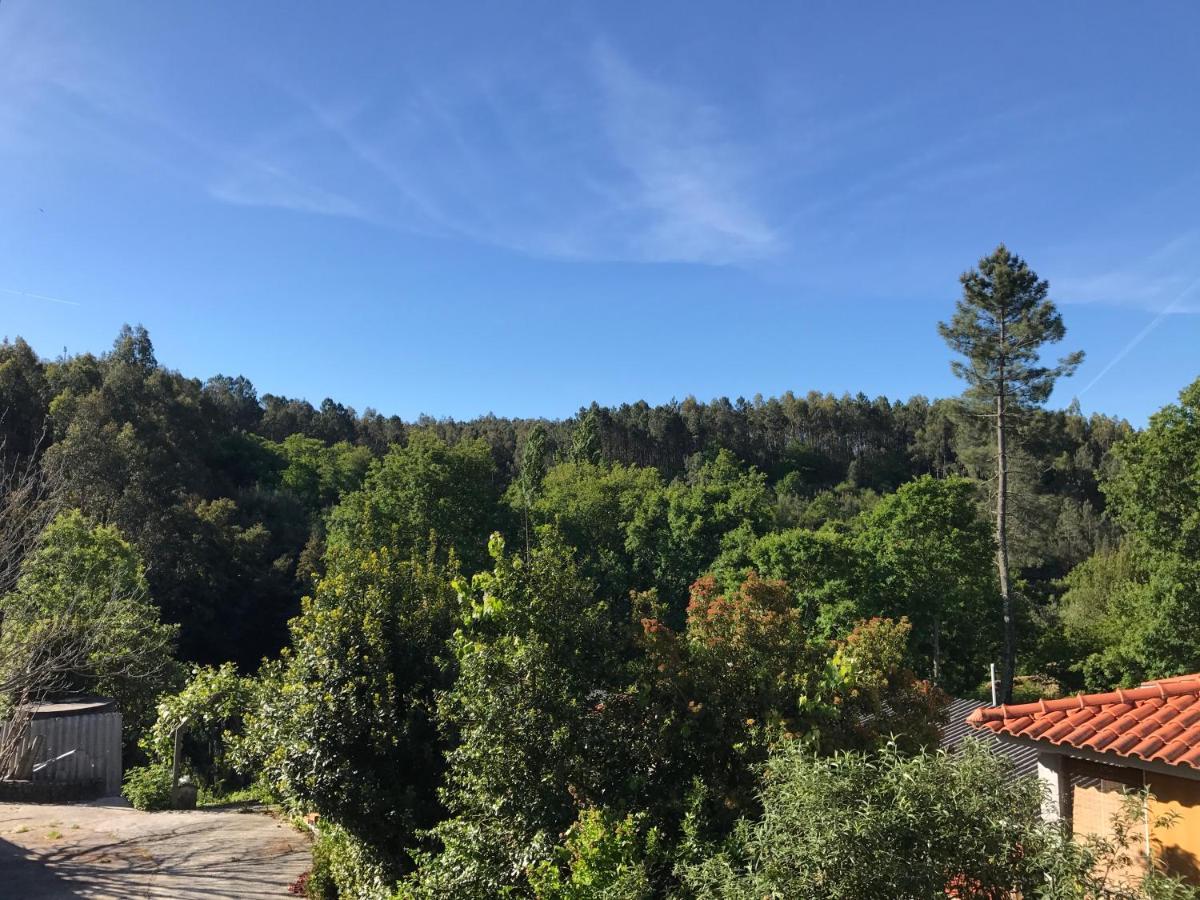 Bed and Breakfast Europa Каштаньейра-ди-Пера Экстерьер фото